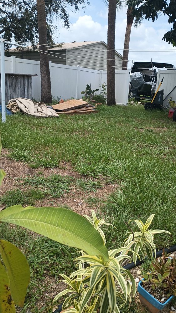 Tweety Bird Inc residential yard cleanout job
