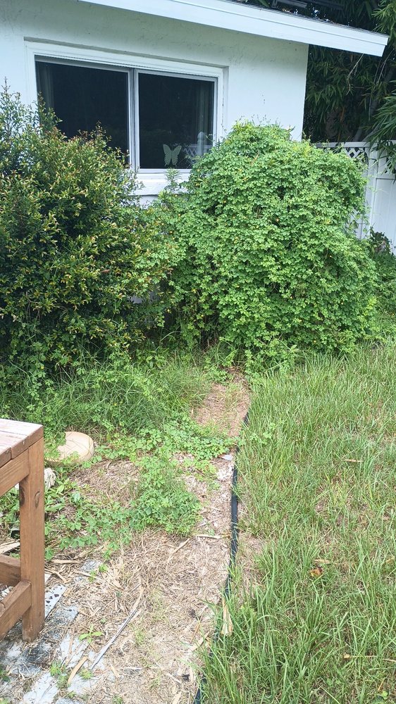Tweety Bird Inc property cleanup job